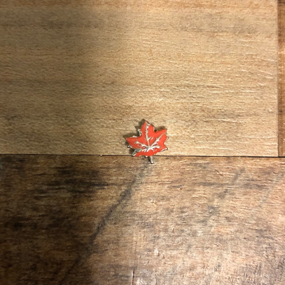 Origami Owl leaf charm